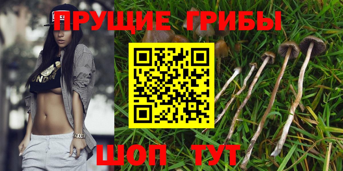 Новотроицк  Псилоцибиновые грибы GOLDEN TEACHER  Галлюциногенные грибы GOLDEN TEACHER  как найти закладки  Вход с VPN 