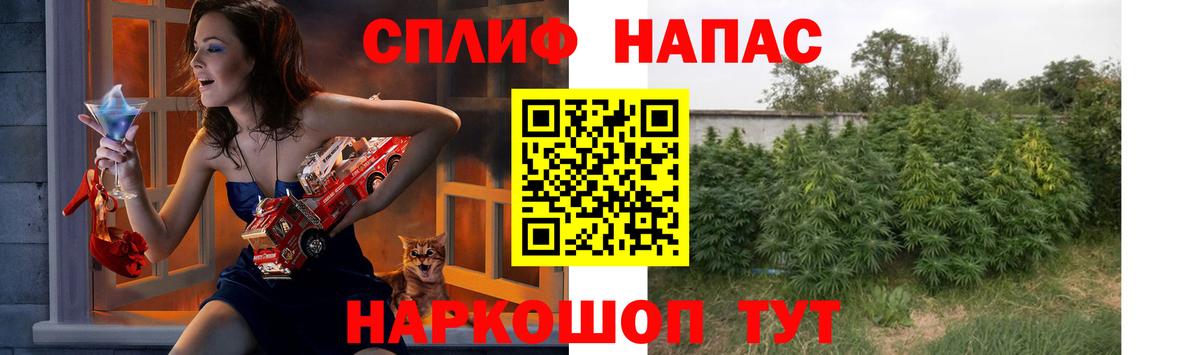Бошки Шишки гибрид Новотроицк