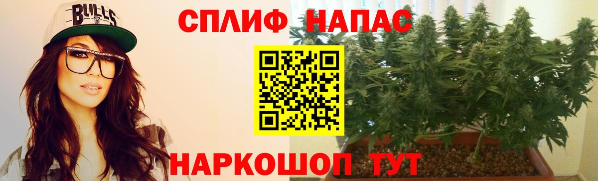 Бошки марихуана конопля  Марихуана OG Kush  Конопля Amnesia  Бошки марихуана LSD WEED  Вход с VPN  Новотроицк 